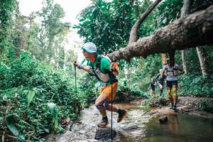 BIB: 
                            <button type="button" onclick="openModal(25368533)" class="btn btn-primary btn-sm float-right btn-popup" data-toggle="modal" data-target=".modal-high-quality">
                        <i class="fas fa-shopping-cart"></i> Add to Cart
                    </button>
                                            <button type="button" onclick="isThisMe(25368533, true)" class="btn btn-success btn-sm float-right btn-popup btn-isme hidden" data-toggle="tooltip" data-placement="bottom" title="นี่คือรูปของคุณใช่ไหม คลิกที่นี่เพื่อเอาเข้าอัลบั้ม">
                        <i class="fas fa-plus"></i> Add to album
                    </button>
                    <button type="button" onclick="isThisMe(25368533, false)" class="btn btn-warning btn-sm float-right btn-popup btn-isnotme hidden">
                        <i class="fas fa-ban"></i> Remove from album
                    </button>